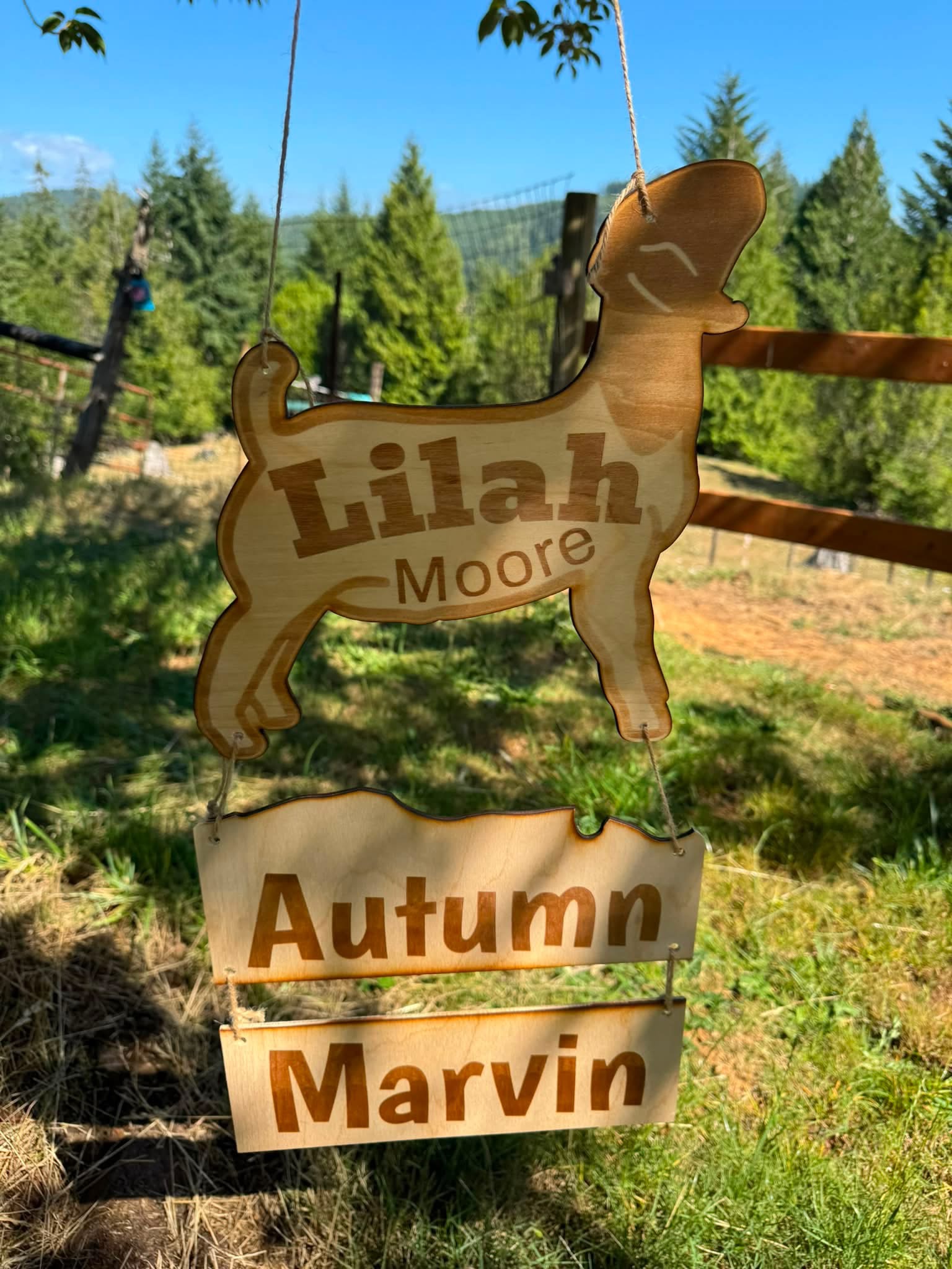 Personalized laser engraved goat hanging sign